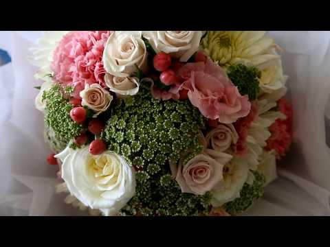 Wedding of Sam & Paras